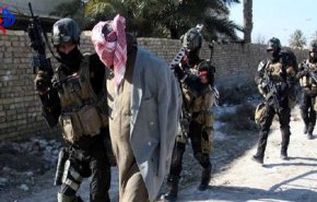 بازداشت ۷ داعشی از جمله یک مسئول برجسته آن در موصل