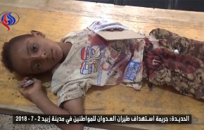 شاهد توثيقا لضحايا يمنيين بغارات للعدوان في الحديدة