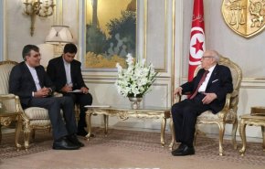جابری انصاری با رئیس جمهوری تونس دیدار کرد