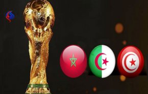 لماذا على المغرب وتونس والجزائر تنظيم كأس العالم معا؟!
