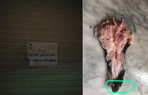 شاهد.. مطعم سعودي يقدم لحم الكلب لزبائنه!