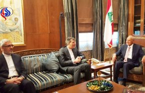 جابری انصاری با رئیس پارلمان لبنان دیدار کرد