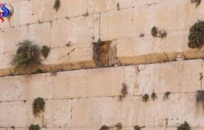 ماذا يعني سقوط حجر من الجدار الغربي للمسجد الأقصى؟ المقدسيون يجيبون..