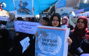 فلسطين.. موظفو 