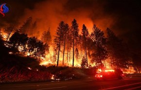 کمک استرالیا و نیوزیلند به آمریکا برای مهار آتش 