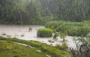  "بارش باران تابستانی" در انتظار تهران و 8 استان دیگر