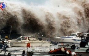 طوفان ژاپن را درنوردید