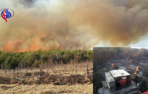 اندلاع حريق في محمية 'ميانكالة' الطبيعية شمالي ايران