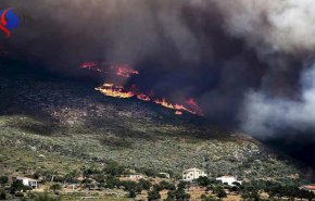 ارتفاع حصيلة ضحايا حرائق الغابات في اليونان إلى 94 شخصا