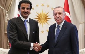 اردوغان از امیر قطر به خاطر حمایت از ترکیه تشکر کرد