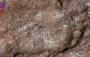 علماء يكتشفون أثر قدم عمرها 3000 عام