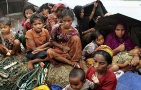فیس بوک بستر نفرت پراکنی علیه مسلمانان روهینگیا شده است