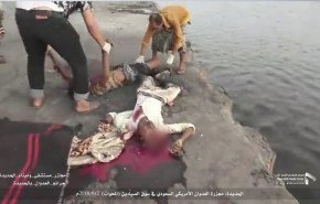442 صيادا يمنيا ضحايا جرائم العدوان بالساحل الغربي
