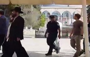  بالفيديو.. عشرات المستوطنين يقتحمون باحات المسجد الاقصى بالقدس