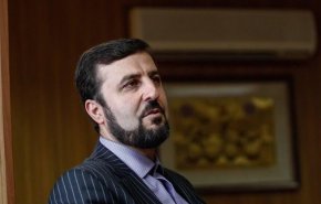 نماینده ایران در آژانس خواستار فشار مداوم بر اسرائیل برای پیوستن به ان‌پی‌تی شد