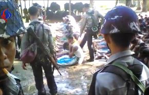 جيش ميانمار نسق الاعتداءات الوحشية على الروهينغا