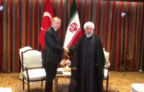 اردوغان با روحانی دیدار کرد