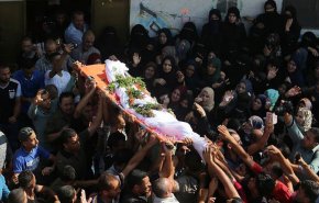 الأمم المتحدة تأسف لقتل الكيان الصهيوني 7 فلسطينيين وجرحه المئات