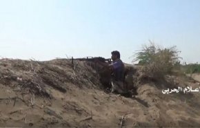 ویدئویی از عملیات ارتش و کمیته های مردمی یمن در ساحل غربی