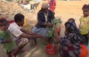 تقرير أمريكي: آلاف اليمنيين يأكلون أوراق الشجر بسبب الجوع والحصار!