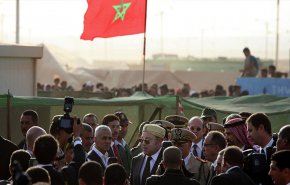 المغرب لن يقبل أن تكرر هولندا خطأ التدخل في شؤونه... والأزمة مستمرة