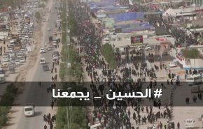 15 میلیون نفر؛ تعداد زائران اربعین حسینی + ویدئو
