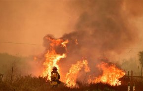 ارتفاع عدد قتلى حرائق كاليفورنيا والمفقودين لأكثر من 1000