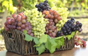 ” العنب ” يساعد في العلاج من مرض خطير!
