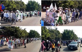 راهپیمایی مردم نیجریه در حمایت از شیخ زکزاکی + تصاویر