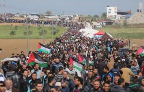 همبستگی بین المللی با ملت فلسطین؛ فلسطین آماده برگزاری 36مین راهپیمایی بازگشت
