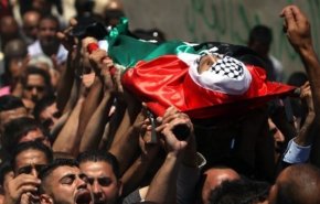 345 شهید فلسطینی از اعلام تصمیم آمریکا درباره قدس