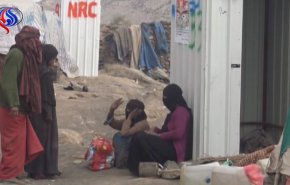 فيديو؛ شاهد الاوضاع الصعبة التي يواجهها النازحون اليمنيون