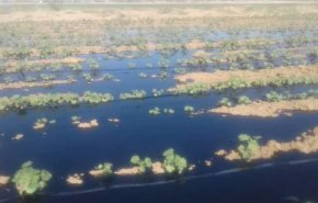 السودان: بترول متسرب يغمر المزارع في نهر عطبرة