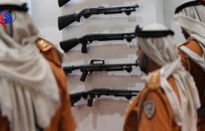 دانمارک فروش سلاح به امارات را به حال تعلیق درآورد