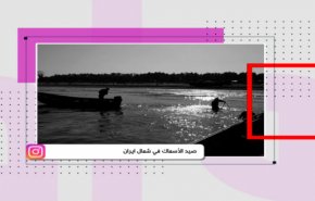 التواصل ـ صيد الأسماك في شمال ايران