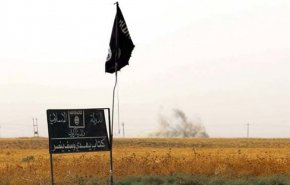 بلومبيرغ: داعش يستعدّ للظهور مجددًا