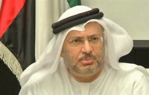 وزير خارجية الامارات ينفي استهداف بلاده لدول وصفها بالصديقة