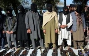 مقتل عناصر من طالبان وجماعة 