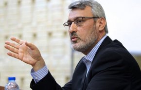بعیدی‌نژاد: اعطای حمایت دیپلماتیک به " زاغری" مخالف حقوق بین‌الملل است