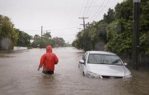 شاهد...تماسيح في شوارع أستراليا بعد الفيضانات 