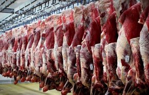 سخنگوی کمیسیون کشاورزی: قیمت گوشت قرمز بزودی اعلام می شود