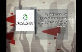 ما سرّ توقيت بيان الشيخ قاسم حول ثورة البحرين؟