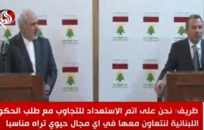 ظریف: راه‌حل در سوریه باید توسط مردم این کشور تعیین شود نه دیگران/ استقبال لبنان از سرمایه‌گذاری ایران در مناقصه احداث نیروگاه برق
