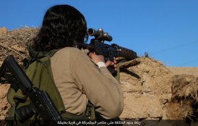 بازداشت تک تیرانداز داعشی در استان الانبار