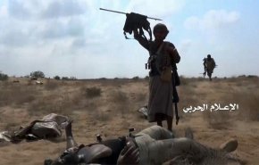 بالفيديو.. القوات اليمنية تسيطر على مواقع في جبل النار وتحصد ارواح المرتزقة