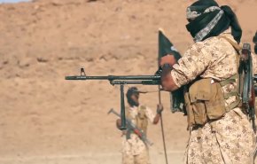 عناصر داعش تقاتل في آخر امتار لها بآخر معاقلها في سوريا+فيديو