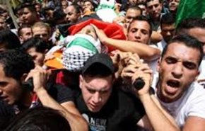 شهادت 267 فلسطینی از آغاز راهپیمایی‌های بازگشت