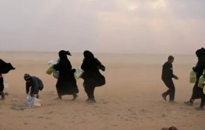 84 سوری حین فرار از دست داعش در بیابان‌ها جان باخته‌اند