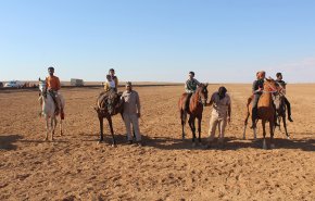 شاهد: سوريا تبدأ إعادة تأهيل خيولها العربية الأصيلة 