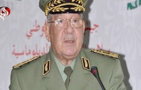 فرمانده ارتش الجزایر: اجازه بازگشت ناامنی به کشور را نمی دهیم